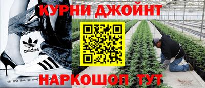 кокаин колумбия Пугачёв