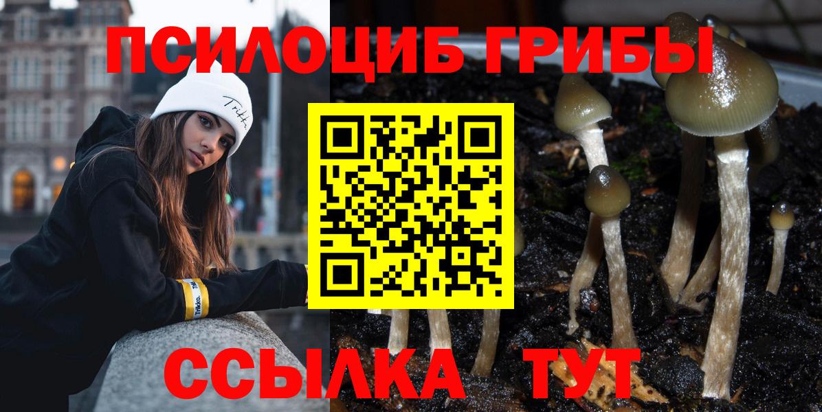 Галлюциногенные грибы ЛСД Россия