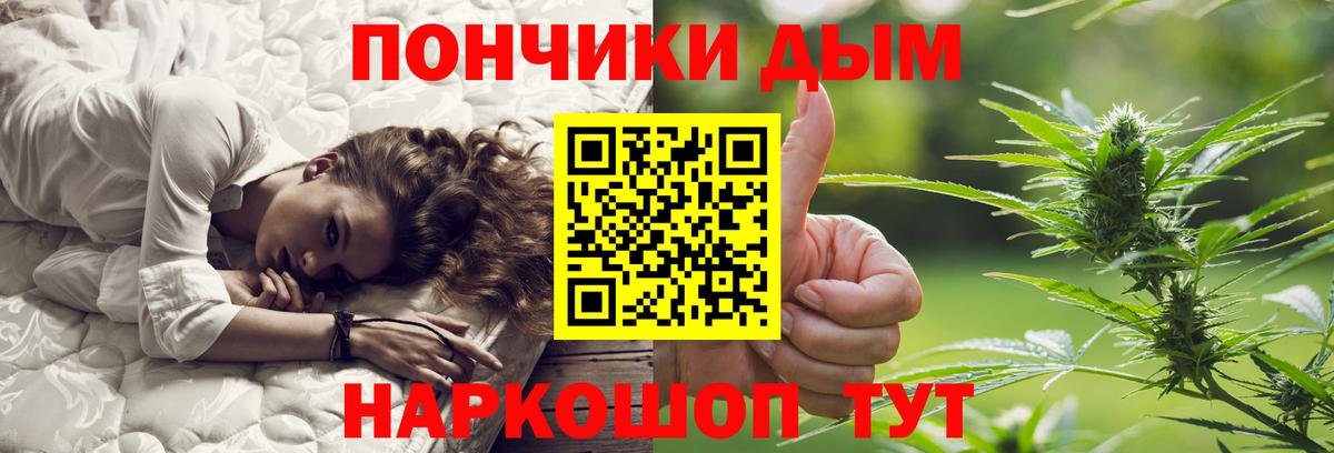 Бошки Шишки гибрид Россия